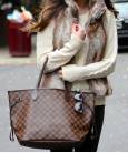 Сумка Louis Vuitton Neverfull Damier Ebene